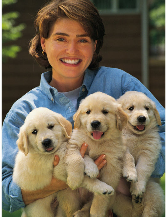Finding A Breeder Can Be Frustrating? - K Doodle Pup Shop