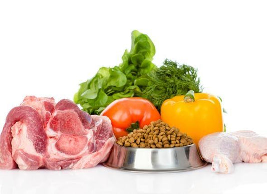 What Do I Feed My Goldendoodles? Healthy Tips - K Doodle Pup Shop