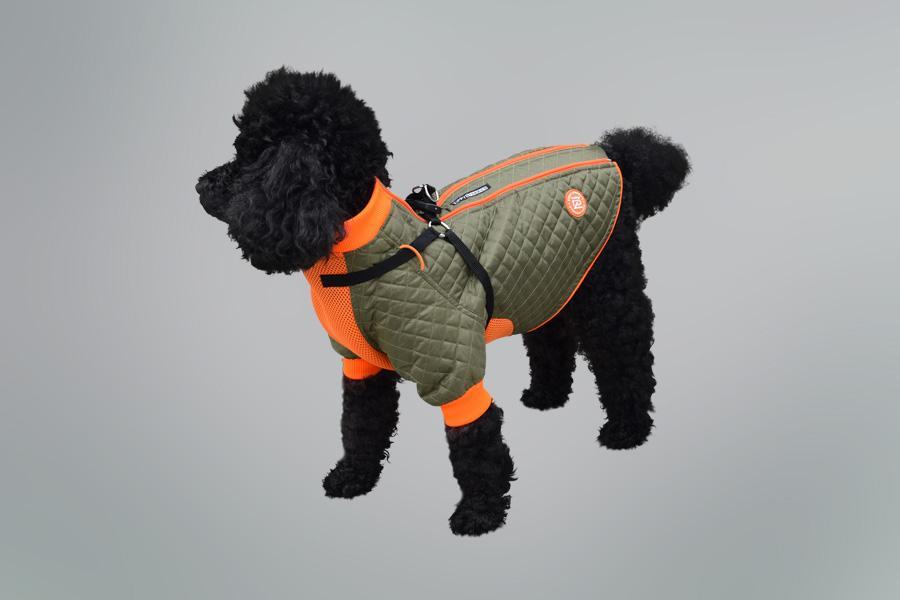 TRENDY Collections offers a lightweight fashion option for your pup. Featuring contemporary designs, your furry friend is sure to look their best while staying comfortable. With its breathable materials, your pup can enjoy the perfect balance of fashion and function. 10% OFF @ CHECKOUT