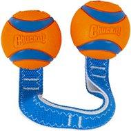 Chuck It Puppy Toy