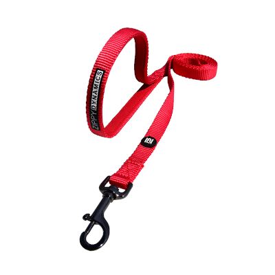 Keep your pup looking sharp with our Matching Leash Collections. Our leashes are made with quality materials and offer reliable performance. Easily coordinate your pup's style with our matching leashes for the perfect look.