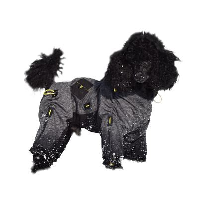 Protect your pup in style with COZY Collections. Our protective dynamic suits feature 10% off at checkout and come in a variety of designs, providing the perfect combination of comfort and protection for your furry best friend.