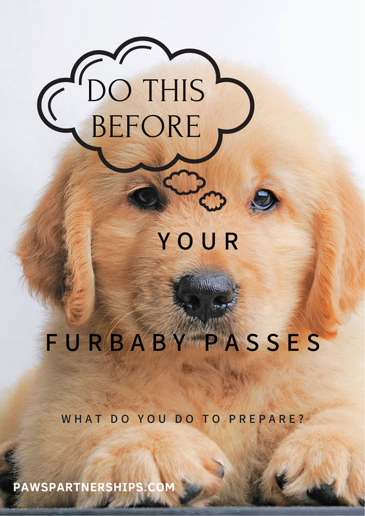 Hey! You? We want to keep our Fur Babies safe and around forever. But we know that this is not always the case. Being prepared for when that time comes alleviates the added stress. Grab the tools that will help you in this process to go smoothly.