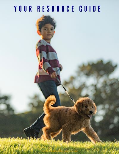 This Your Resource Guide is the perfect tool to help you navigate all of your puppy's needs. Our guide provides valuable resources, advice, and tips to help make your puppy a happy, healthy member of your family.
