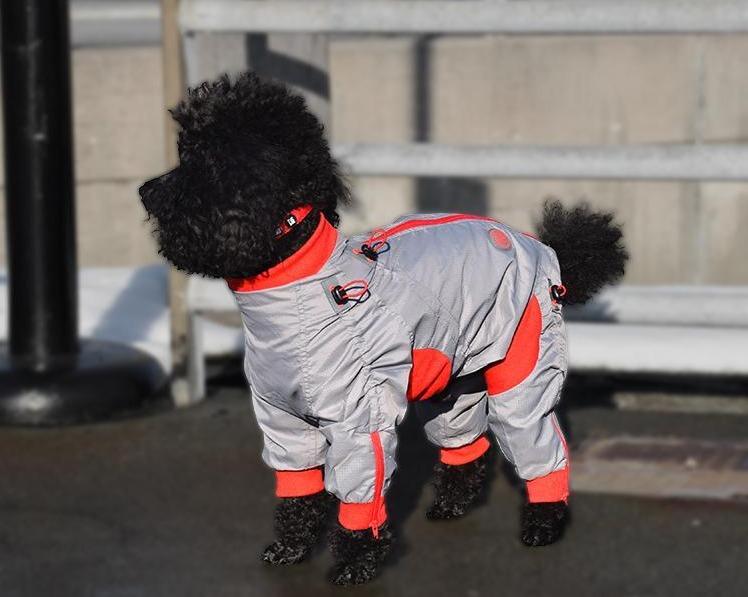 Zippy Collections offers stylish and functional protective clothing for your canine companion. Our water and wind-resistant materials keep your pup warm and dry in any weather. With adjustable straps available in multiple sizes, you can find the perfect fit for your furry friend. 10% OFF @ CHECKOUT