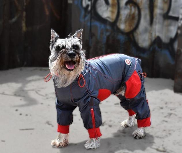 Zippy Collections offers stylish and functional protective clothing for your canine companion. Our water and wind-resistant materials keep your pup warm and dry in any weather. With adjustable straps available in multiple sizes, you can find the perfect fit for your furry friend. 10% OFF @ CHECKOUT